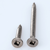 Square Slot Drywall Screw