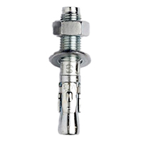 Wedge Anchor (Through Bolts)